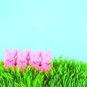 PiNk,PiNk,PiNk.......