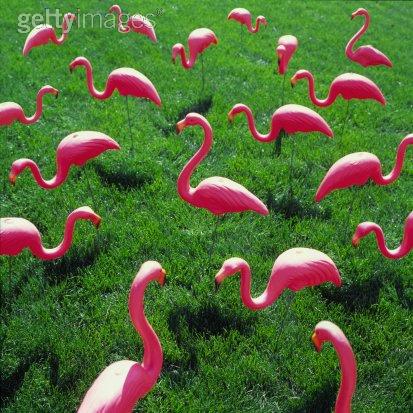 PiNk,PiNk,PiNk.......